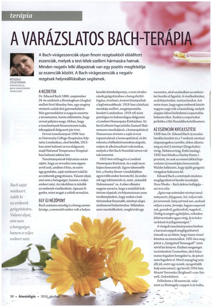 Kineziológia Magazin - Bach-virág cikk