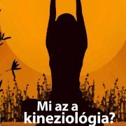 Napi elemózsia - Mi a kineziológia?