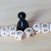 A kineziológia alapjai