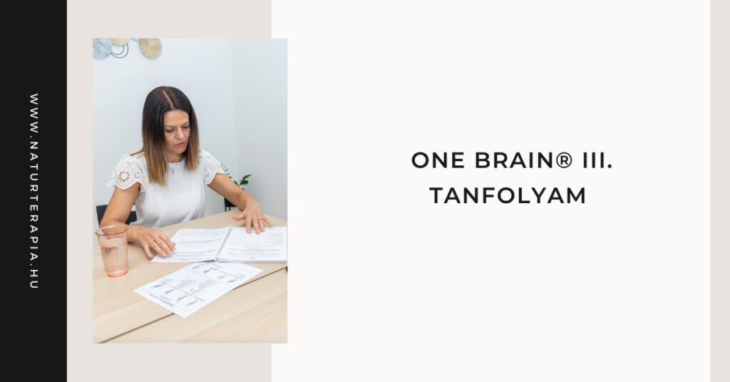 One Brain kineziológia III. tanfolyam Kineziológia One Brain III. tanfolyam