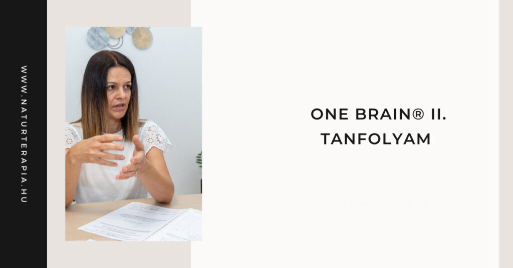 Kineziológia II. tanfolyam