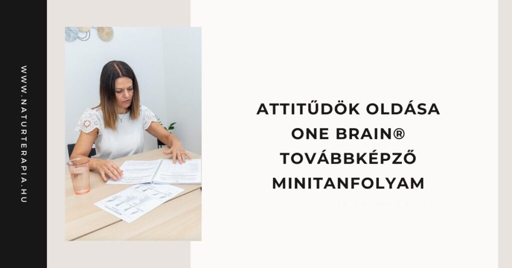 Attitűdök oldása One Brain® továbbképző minitanfolyam Attitűdök oldása One Brain® továbbképző minitanfolyam