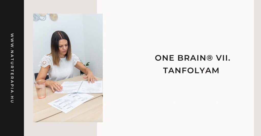 One Brain® kineziológia tanfolyam VII. szint – Etika és Kapcsolatok I. One Brain® kineziológia tanfolyam VII. szint – Etika és Kapcsolatok I.