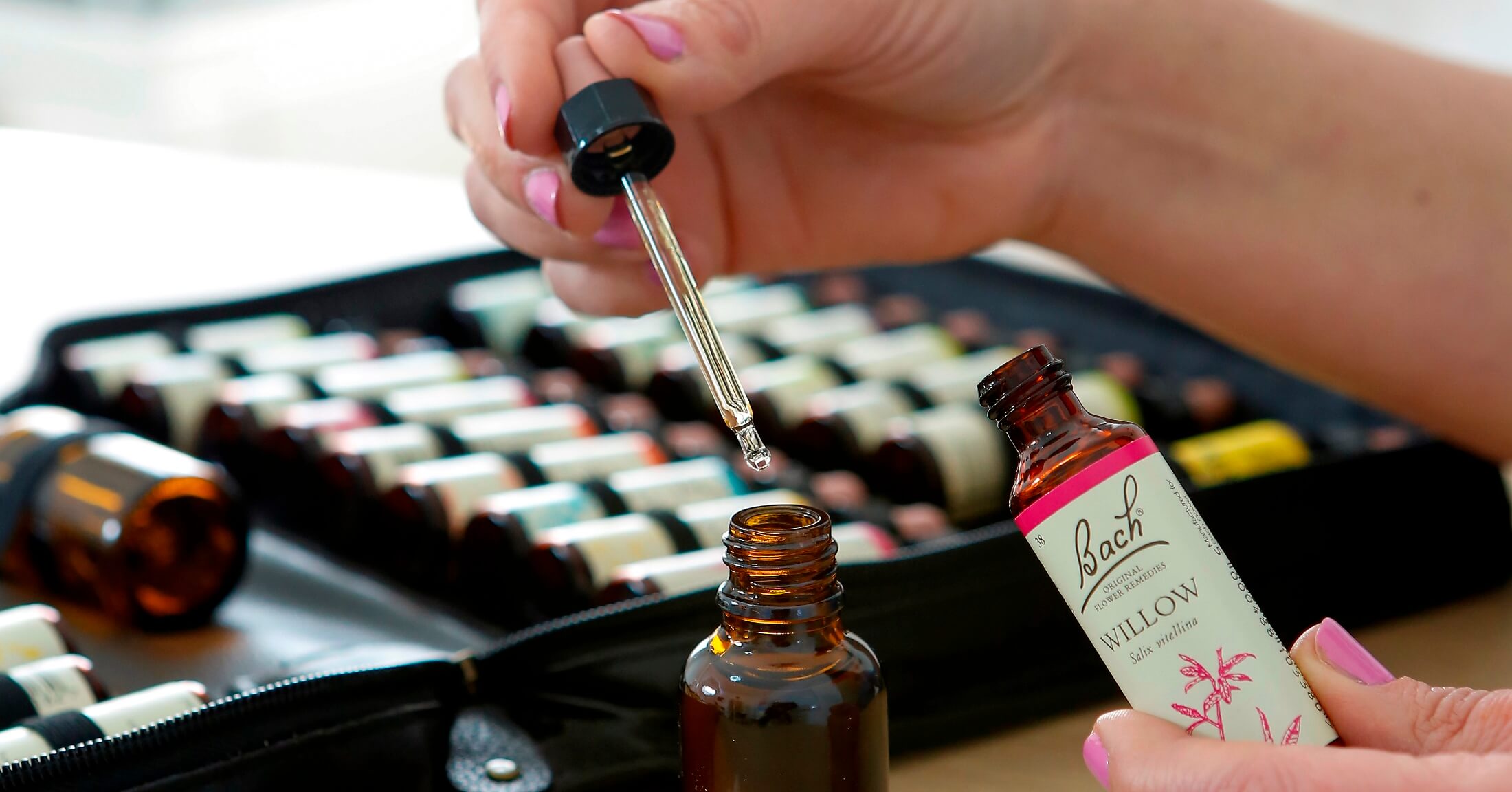 Bach-virágesszencia tanfolyam