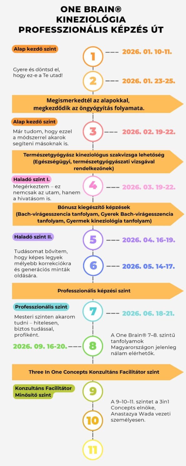 One Brain® kineziológia tanfolyam csomagok időpontok One Brain® kineziológia tanfolyam csomagok időpontok