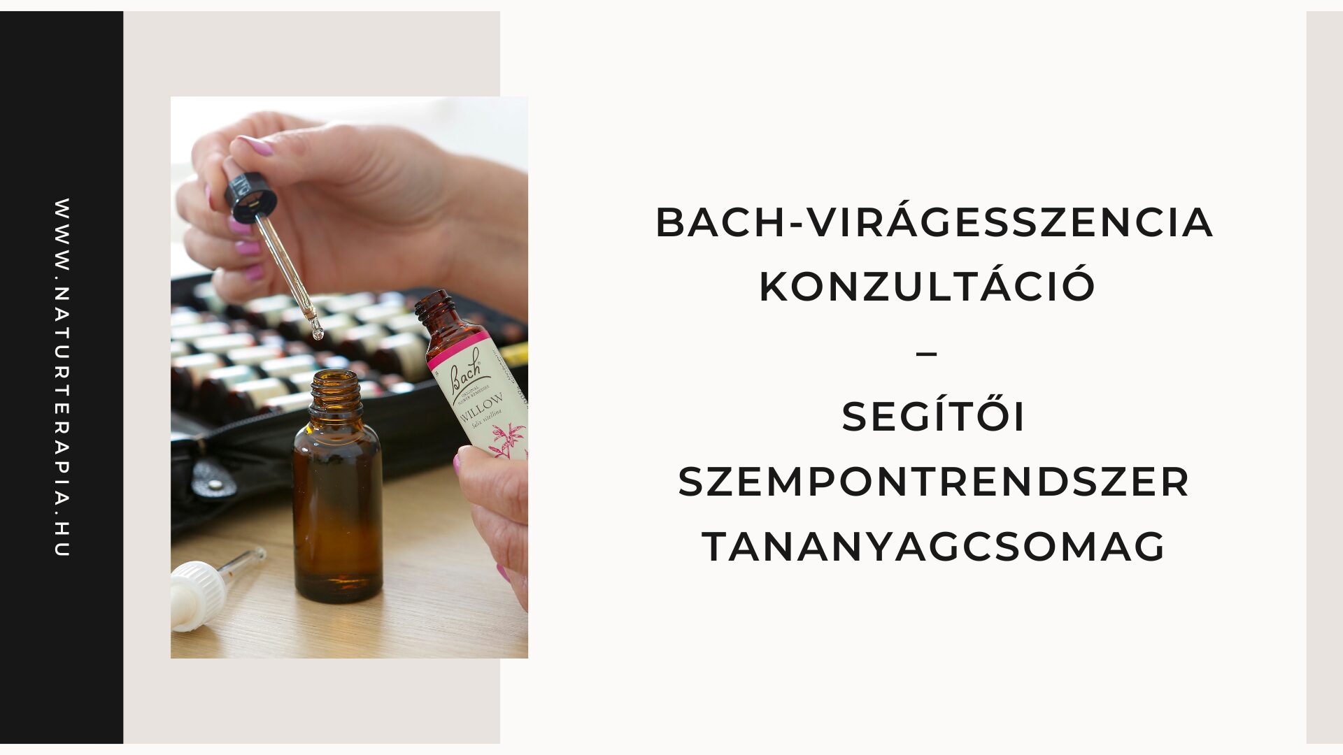 Bach-virágesszencia segítői szemléletet bemutató online tananyag