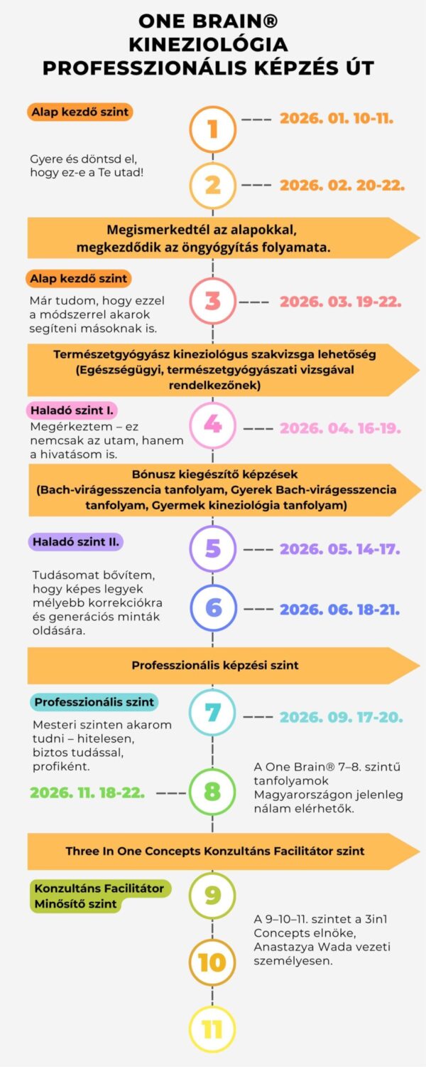 Infografika One Brain kineziológia képzés Infografika One Brain kineziológia képzés