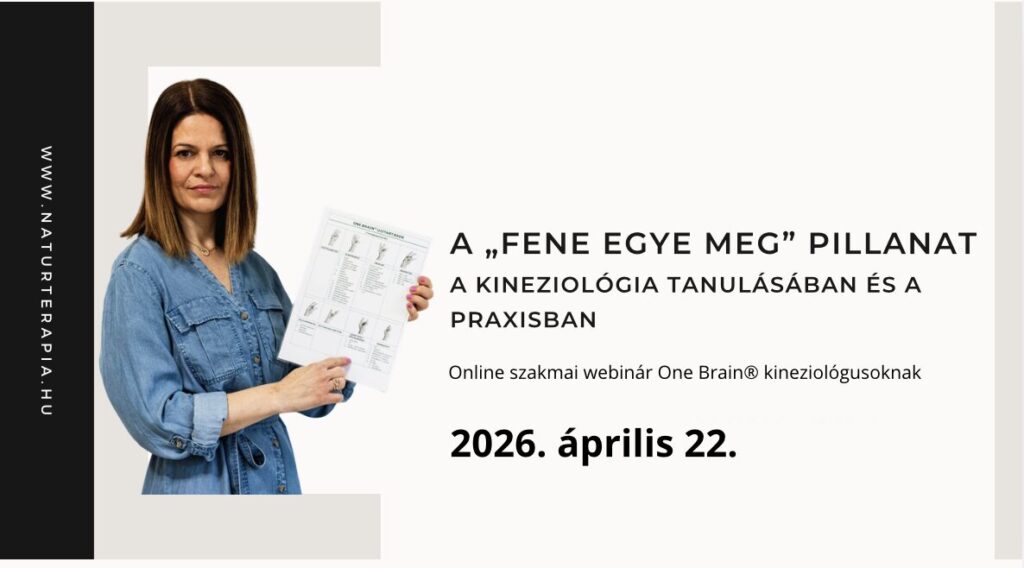 kineziológia tanulás webinár a szakmai bizonytalanság kezeléséről