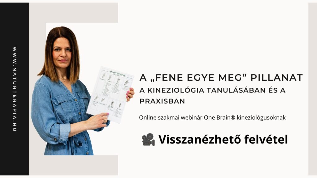 kineziológia tanulás webinár a szakmai bizonytalanság kezeléséről