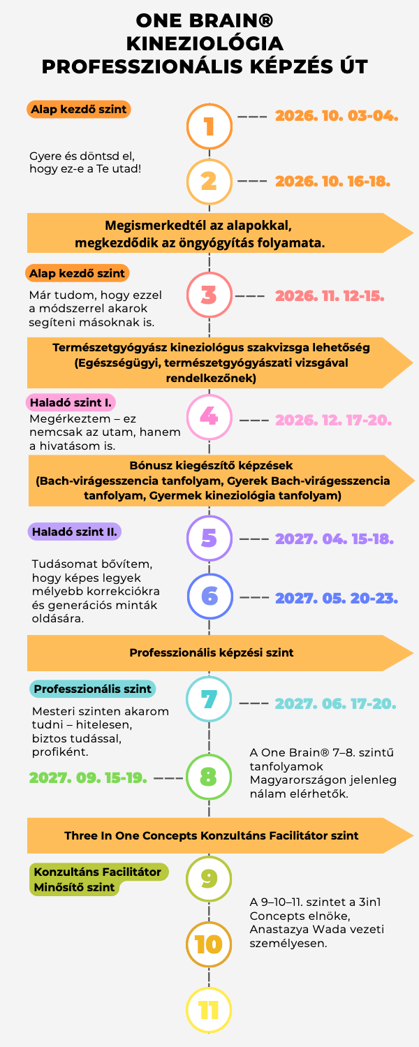 Infografika One Brain kineziológia képzés