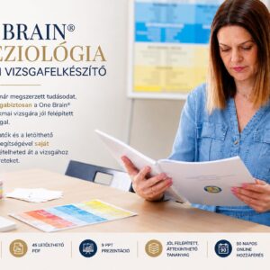 One Brain® Kineziológia szakmai vizsgafelkészítő